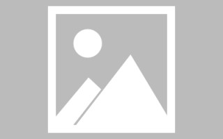 博白广州专业搭建网站平台（广州网站建设方案开发）